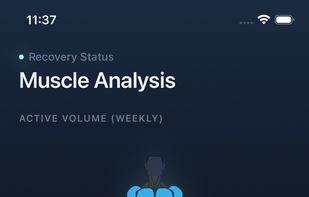 Stats View