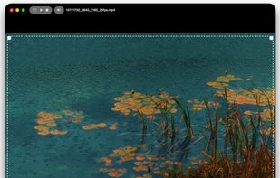 Gyuni Player screenshot 3