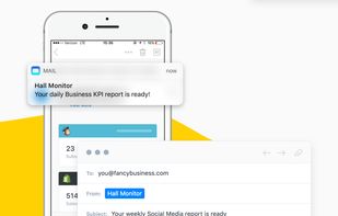 Hall Monitor screenshot 3