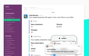 Hall Monitor screenshot 2
