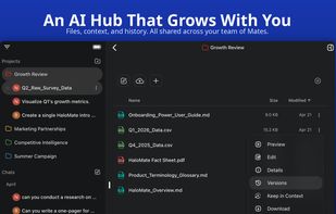 Project workspace with persistent files, context, and chat history shared across all AI mates.