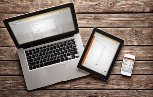 HandiFox Online screenshot 1