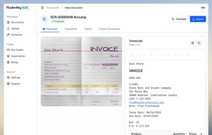 Transcription view