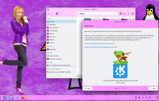 Hannah Montana Linux screenshot 1