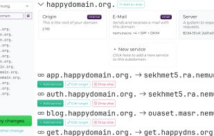 Main domain page: an abstract view of the zone, the raw records are grouped under services.