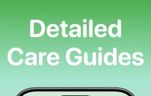 Detailed Care Guides