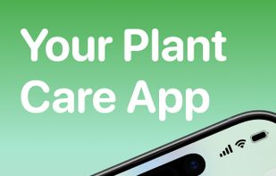 Custom Watering Schedules