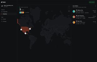 Live website visitor map