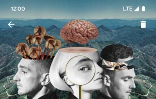 Harmonoid screenshot 3