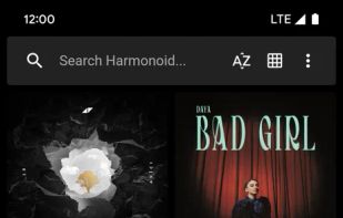 Harmonoid screenshot 2