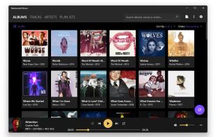 Harmonoid screenshot 1