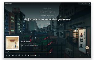 Harmonoid screenshot 2