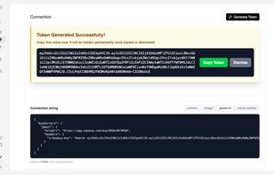 MCP Server auth token manager