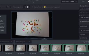 Hasty.ai screenshot 3
