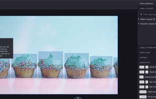 Hasty.ai screenshot 1