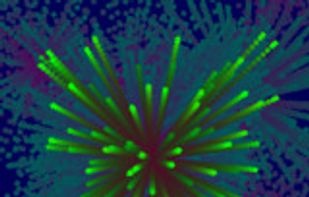 HaxeFlixel screenshot 2