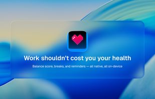 HealthyNotch screenshot 1