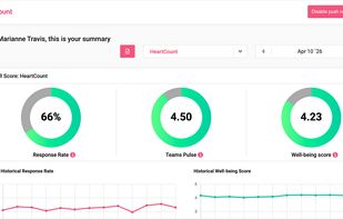 The Summary page shows an overview of the response rate, team pulse, and well-being score.