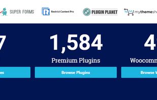 Themes & Plugins counter