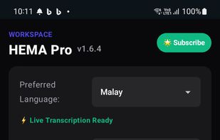 HEMA Transcriber screenshot 1