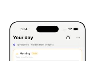 Today view with Morning, Afternoon, and Evening segments. Protected reminders stay hidden from your Home Screen widget — shown here as "Hidden from widgets" on iPhone.