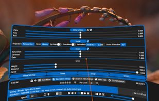 HereSphere screenshot 3