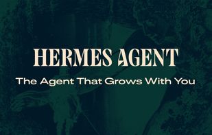 Hermes Agent screenshot 1