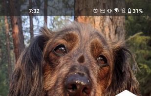 Hex Launcher screenshot 1