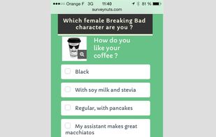 SurveyNuts screenshot 3