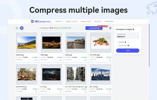 HiCompress screenshot 1