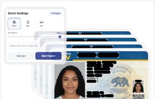 Batch processing interface showing automatic redaction of sensitive data on an ID card using black bars with adjustable intensity.