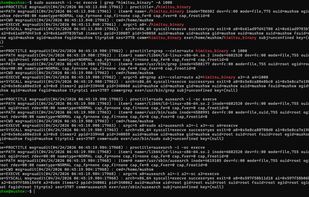 OS-Level Logging & Hooking Protection
Embeds its own shell interpreter, eliminating reliance on the system shell and reducing exposure to OS-level logging and hooking. (e.g., auditd).