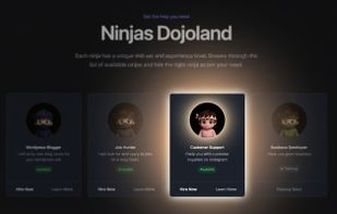 HireNinja screenshot 1