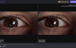HitPaw VikPea screenshot 2