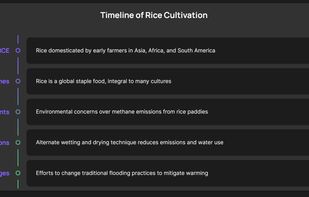 Timeline auto-generated from a Youtube link