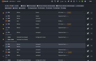 Hiveon OS screenshot 1