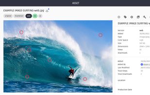 Creative workflow, commenting, revisioning and approval