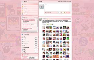 site news feed and post editor