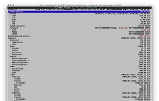 hledger screenshot 1