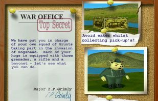 Hogs of War screenshot 3