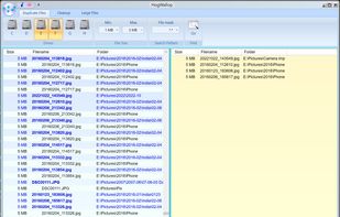 HogWallop screenshot 1