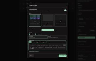 Embedding a reel: a branded showreel page at its own address, with the embed code for your site.
