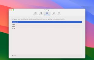 Custom Vocabulary Support