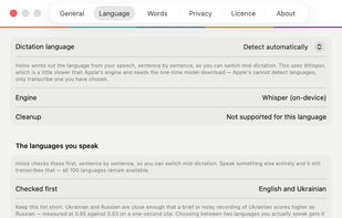Holos works out the language from your speech, sentence by sentence, so you can switch mid-dictation without changing a setting.