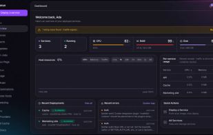 Homerun screenshot 1