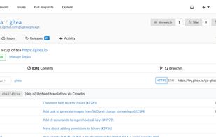 Hosted Gitea screenshot 1