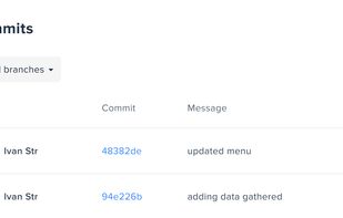 Hostman screenshot 3