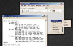 Hosts Switcher for Firefox screenshot 1