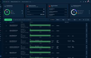 All monitors in one dashboard: availability, page speed, ping and SSL checks with live status, response times, and certificate expiration dates.