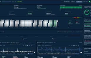Detailed data for each monitor: SLA on availability, 11 months of uninterrupted daily operation, a breakdown by response times, and results for each checkpoint.